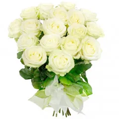 Composition Forever together, 18 white roses in a bouquet, a bouquet of white roses with a ribbon