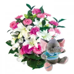 Birthday composition, gerberas, lilies, carnation, santini,  and plush elephant with blue shirt in the basket.