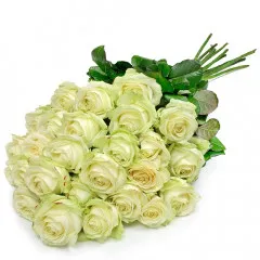 kwiaty pierwsza miłość, 25 białych róż, róże ułożone stopniowo