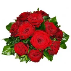 Tantalizing 12 Roses