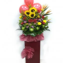 Congratulations Grand Opening Mixed Colours