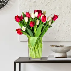 Tulipany czerwone i białe