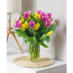 Tulipany Multicolor 013