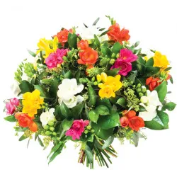 A bouquet of colourful freesias