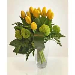 Yellow tulips