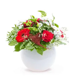 Dla mojej miłości w Walentynki