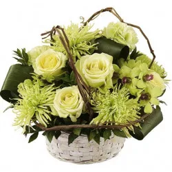 Vanila and Mint in a Basket