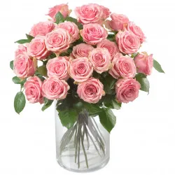 Bunch of Pink Roses