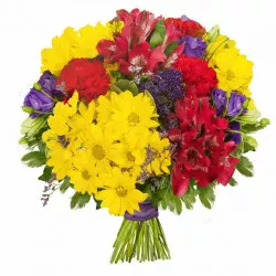 Pasodoble bouquet 