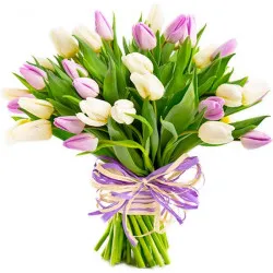 Tulips for Women's Day