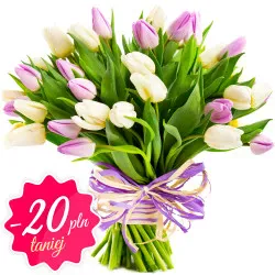 Tulips for Women's Day