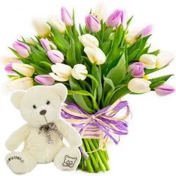 Tulips for women with teddy bear