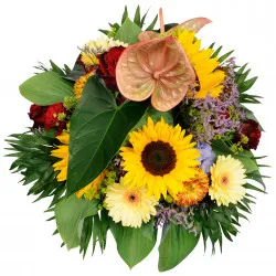 Round seasonal mixed colourful bouquet with anthurium, sunflower, gerbera, roses etc..)