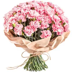 Pink Carnations 11-100 pcs. (Kwiatogram)