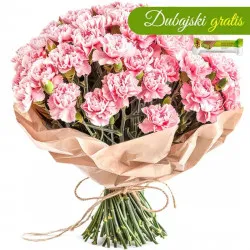 Pink Carnations 11-100 pcs. (Kwiatogram)