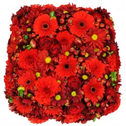 Floral pillow ACF for funeral in ONLY red (roses/gerberas/daises etc..)