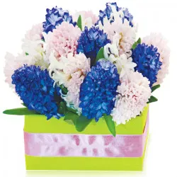 Surprise box