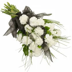 Wreath of Swans Singing