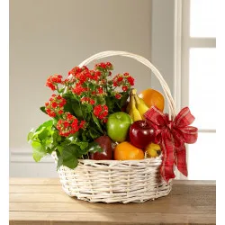 Garden's Paradise Basket