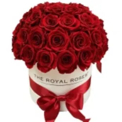 Box with 41 Red Roses
