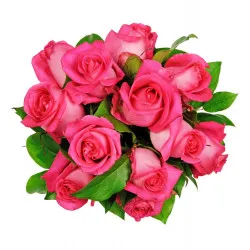 Affection Pink Roses