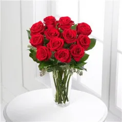 12 Red Roses