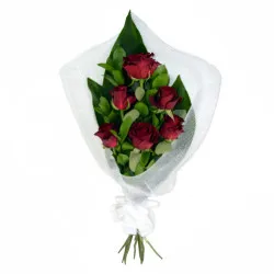 6 Red Roses in Wrap