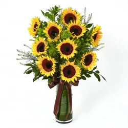 Promień Szczęścia