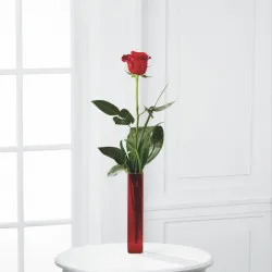 Single Flower (Price on request)