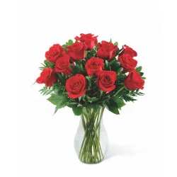 12 MEDIUM STEMMED ROSES