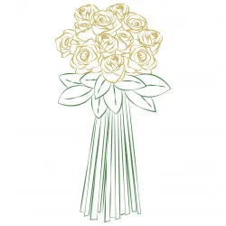 Dozen Long Stem Roses