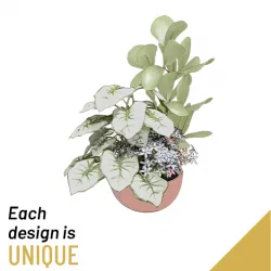 Aranżacja Kwiatów Doniczkowych W Okrągłej Doniczce