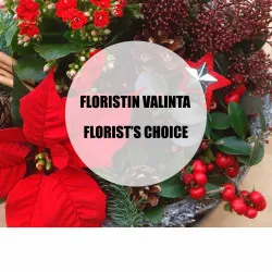 Red Christmas planting, florist's choice