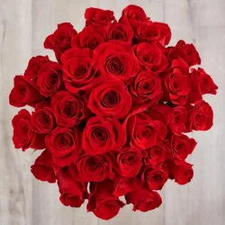 36 Red Roses Bunch