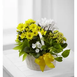 A Bit of Sunshine Basket
