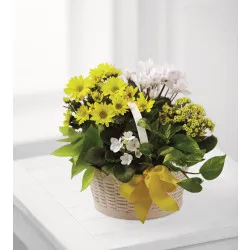 Kompozycja A Bit of Sunshine Basket