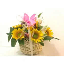 Kosz Sunflower