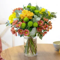 Bouquet of colorful daisies colorful and decorative green