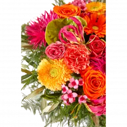 Arrangement of cut flowers