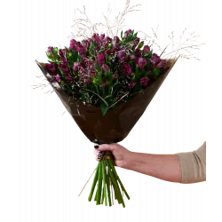 Bukiet Amazing Alstromeria Purple