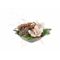 Kompozycja Orchid Fantasy