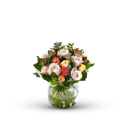 Rosa