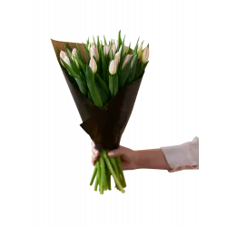 Delikatne Różowe Tulipany