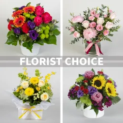 Arrangement of Cut Flowers