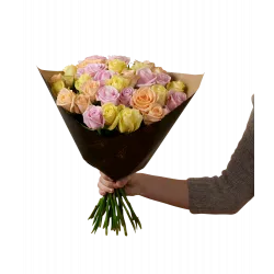 Winter Roses 30 242618