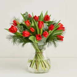 Czerwone tulipany