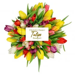 Bukiet Sezonowych Tulipanów