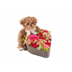 Love Heart and Teddy 250338