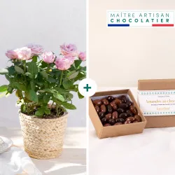 Rosier et ses chocolats