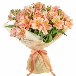 Bouquet of Alstromeria